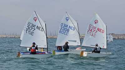 a14d2978-b44f-43ef-933d-545d58f68a35 a14d2978-b44f-43ef-933d-545d58f68a35