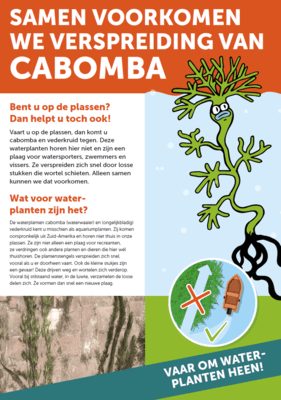 flyer-cabomba